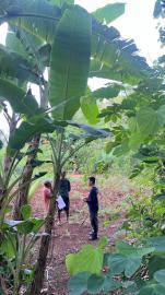 Pemutakhiran Data Pertanahan, Mahasiswa KKN STPN Turun Langsung ke Bengle II Sidoharjo